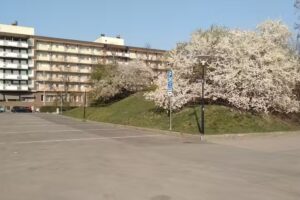 RV Camping Car parking