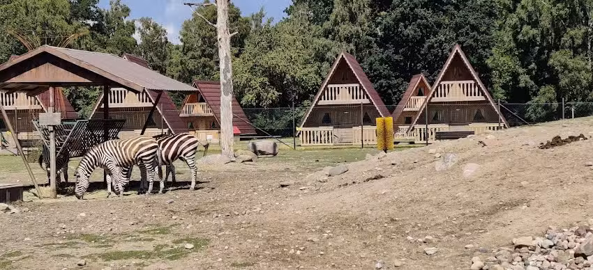 Safari-Camp, Zoo von Öland