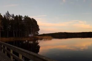 Sandvik Gård, Damen-Spa, Konferenz