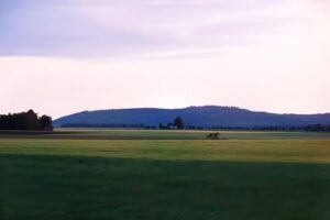 Särtshöga Vineyard