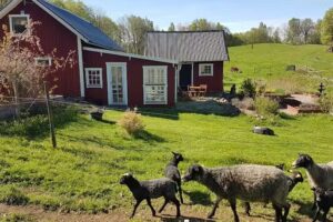 Sjöbacken Farm