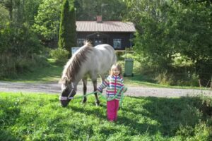 Sjöberga Islandshästgård