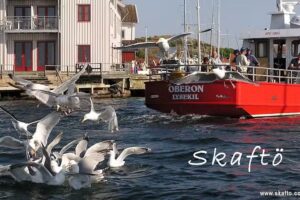 Skaftö Vandrerhjem – Hytte – Leilighet – Byrå