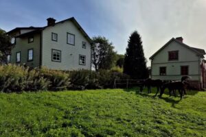 Smens Farms – Der Pferdehof