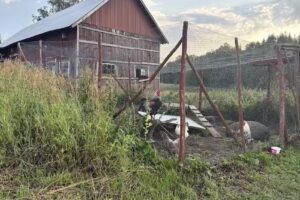 Spången gård och naturcamping