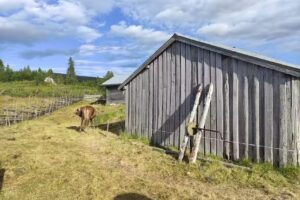 STF Arådalen Fjeldstue