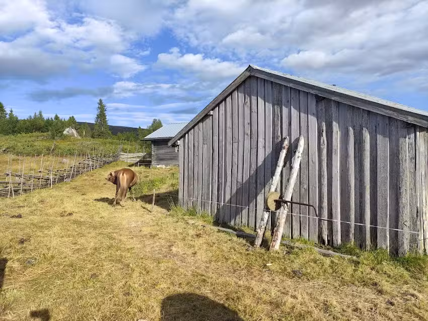 STF Arådalen Mountain Lodge