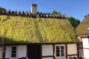 STF Haväng Skepparpsgården hostel