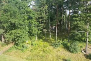 Östhammarshem-stiftelsen