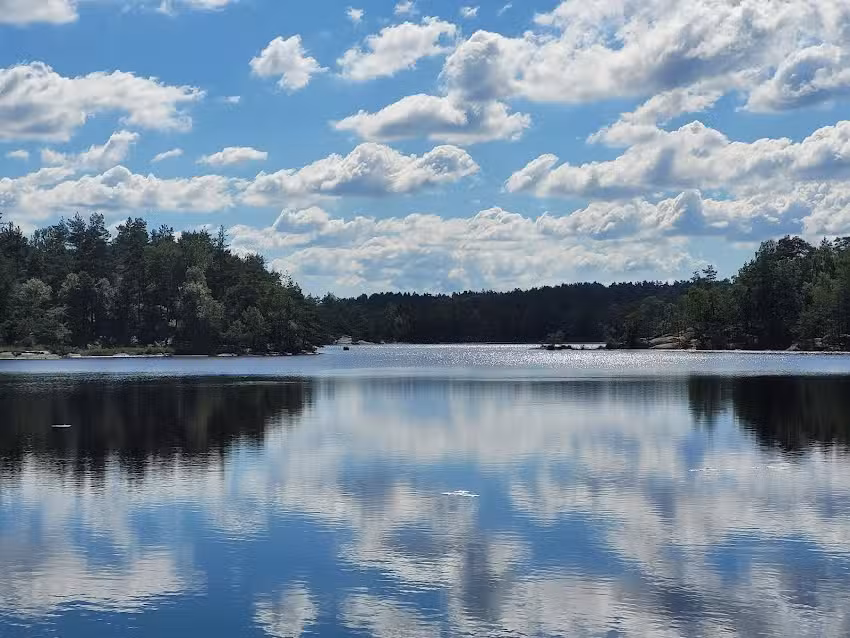 Den store klippe ved Surtesjön