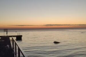 Ferienhaus Gustavsvik