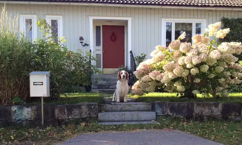 Tant Grön Bed & Breakfast