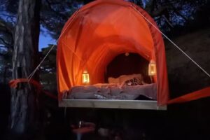 Tresuite – Styrsö Koster