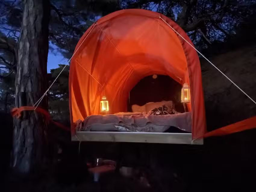 Trädsvit – Styrsö Koster