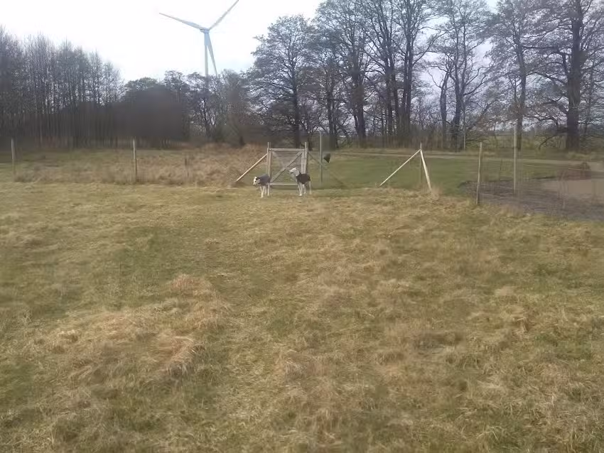 Tv&aring;&aring;ker Fastighedsfirma AB