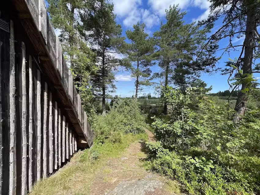 Vänerslingans Krake