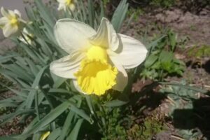 Vänortens gruppehjem