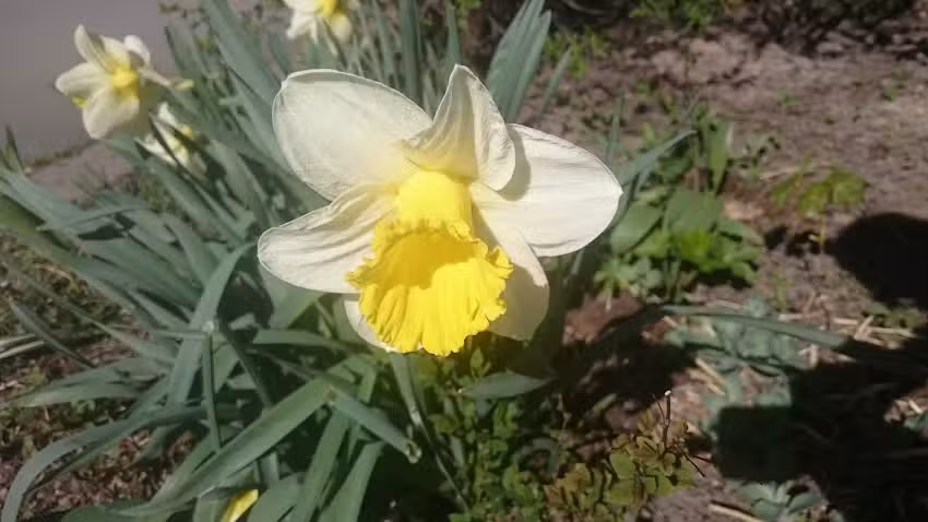 Vänortens gruppehjem