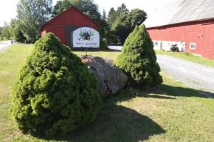 Västra Karstorp Accommodation & Farm Tourism