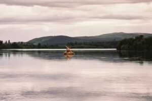 Wildnis in Värmland