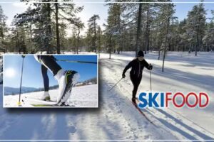 Villa Vasa i Transtrand