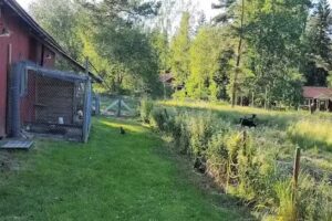 Besøk Nyby gamle hus