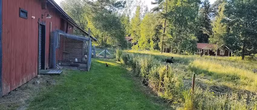 Besøk Nyby gamle hus